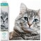 Diamond Dotz Pricilla Diamond Painting Kits for Adults - Diamond Art Kits a Relaxing Creative Craft Kit with Dotz Gems 10.6x12.2
